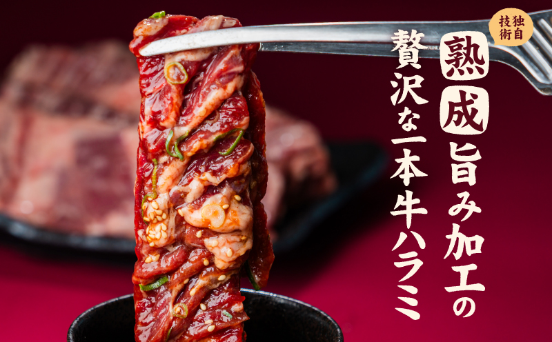 牛ハラミ ブロック 3kg タンブリング加工 牛ハラミ はらみ 牛肉 肉 個包装 冷凍 焼肉 焼き肉 BBQ バーベキュー ステーキ 丼物 簡単調理 炒め物 家庭用 業務用 人気 お取り寄せ 愛媛県 