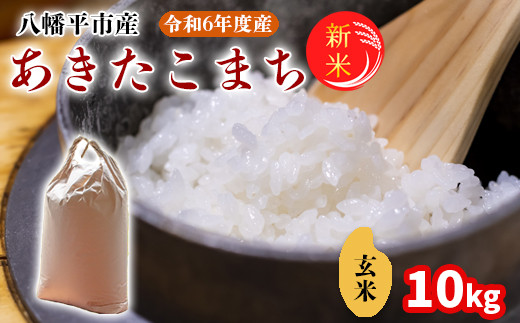 
【2024年11月発送開始】 令和6年産 新米 岩手県産 あきたこまち 玄米 10kg （5kg×2袋） ／ 米 産地直送 農家直送 【中沢農産】
