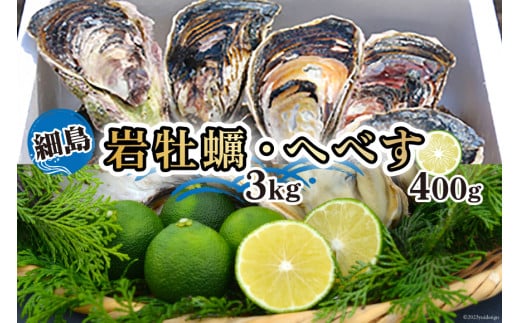 岩牡蠣 殻付き 細島 岩ガキ 約3kg 日向特産 へべす 400ｇ セット [道の駅日向 宮崎県 日向市 452060568]	 いわがき 岩がき 牡蠣 日豊海岸 濃厚 クリーミー