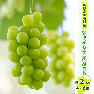 【ふるさと納税】【2026年先行予約】シャインマスカット4~6房入り 約1.7~2kg 果物類 フルーツ 果物 新鮮 瑞々しい