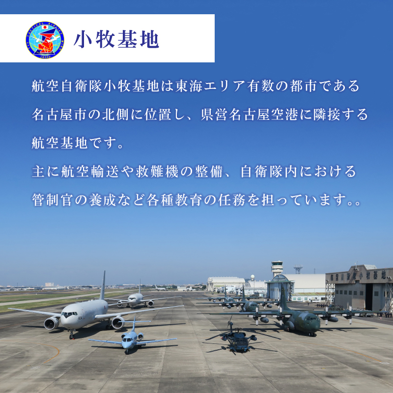 小牧基地 空自空上げ(からあげ)甘辛スパイシー 米粉 レンジで簡単 唐揚げ 計2kg