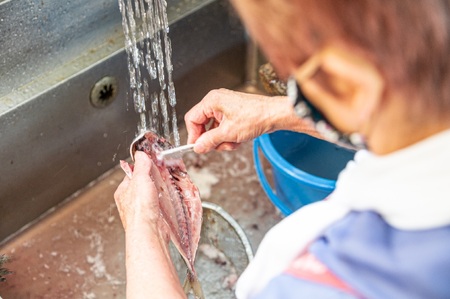 【水天丸水産】ひものセット③　045-001　（干物 ひもの ひものセット 手作りひもの 天日干しひもの 自家製造ひもの 手作りひもの ）