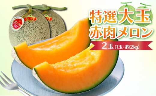 【先行予約】特選大玉赤肉メロン【2玉入り】【令和8年7月末発送】 K001