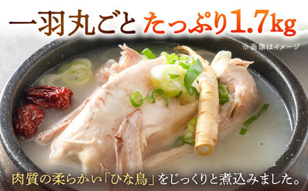 参鶏湯（サムゲタン）1羽分 桂川町/マルマツ産業株式会社[ADAE002] サムゲタン 参鶏湯 鍋 鍋セット