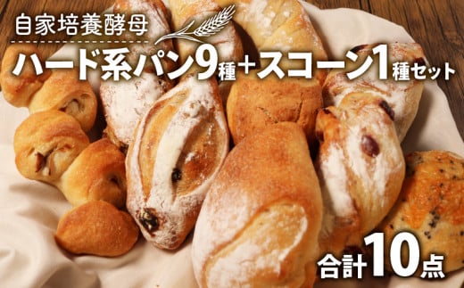 【自家培養酵母で焼く】ハード系パン9種 + スコーン1種 セット ( オーガニック パン 惣菜パン 冷凍パン 天然酵母 冷凍 詰め合わせ 小麦 朝食 朝ごはん お取り寄せ 食べ比べ 京都 国産 木津川市 Boulangerie Faveur )