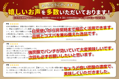 強炭酸水 【3か月定期便】VOX ストレート バナジウム 500ml 35本  炭酸