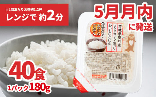 K1464 【5月月内発送】境町産こしひかり使用 低温製法米パックライス 180g×40個