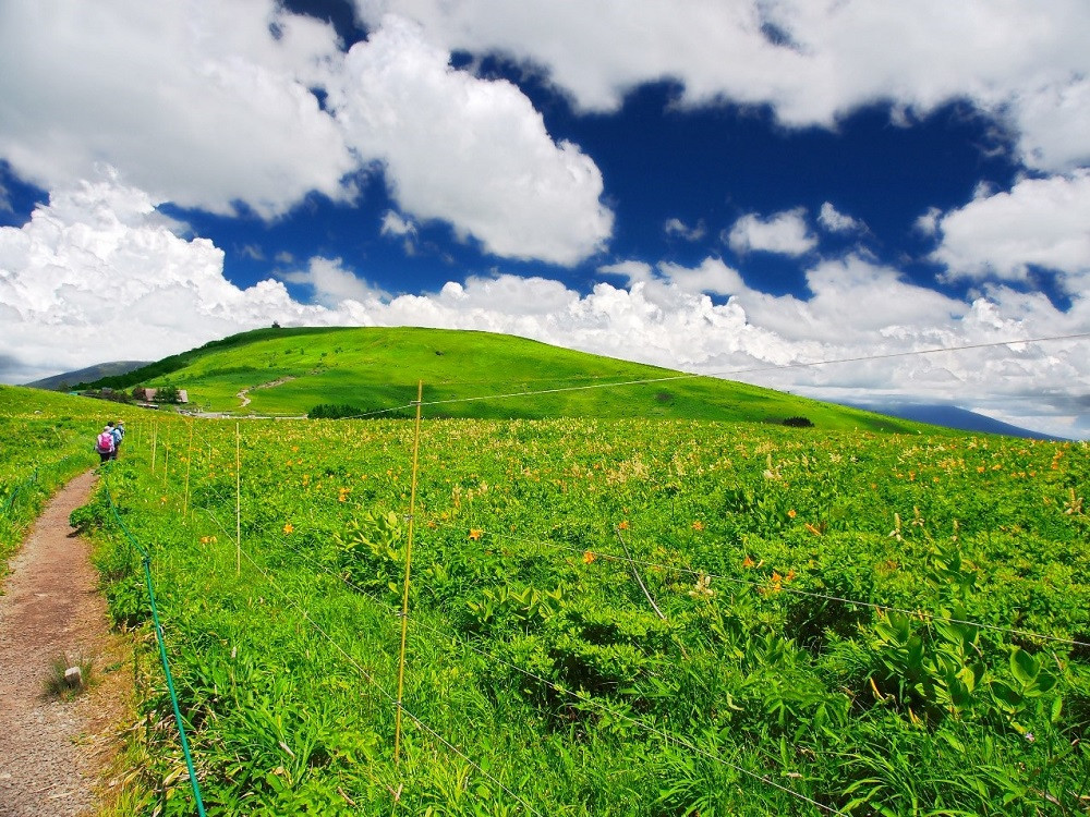 
【霧ヶ峰(車山)草原トレッキング】～自然を感じて、五感を使う　のんびり山歩き～ツアー参加券２名様分　八ヶ岳登山企画　観光　信州　諏訪【88-07】
