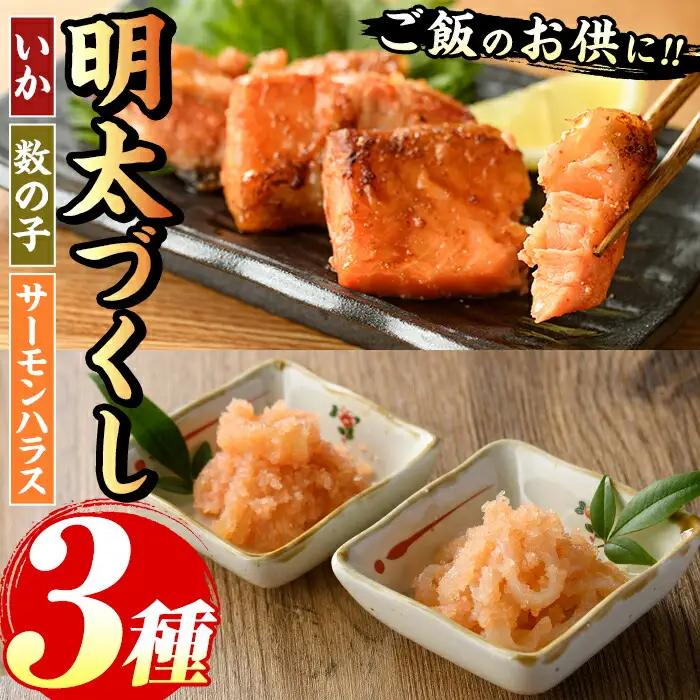 ご飯のお供！明太づくしBセット(3種・数の子明太子/いか明太子/サーモンハラス明太漬) 明太 明太子 めんたい めんたいこ 海鮮 魚介 魚卵 かずのこ 数の子 いか イカ サーモン さけ サケ しゃけ