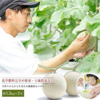 【令和6年度産先行受付】星と蜂のメロン　Lサイズ2玉【配送不可地域：離島】