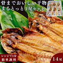 【ふるさと納税】骨までおいしい干物「まるとっと」1尾セット　 魚貝類 加工品 干物セット 魚 おかず あじ開き みりん干し さんま開き たい丸物 朝食 食卓