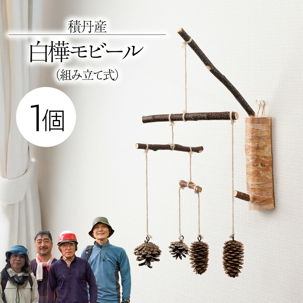 【ふるさと納税】白樺モビール ×1北海道ふるさと納税 積丹町 ふるさと納税 雑貨 日用品 インテリア 木製 白樺 民芸品 オーナメント 彫刻 知育玩具