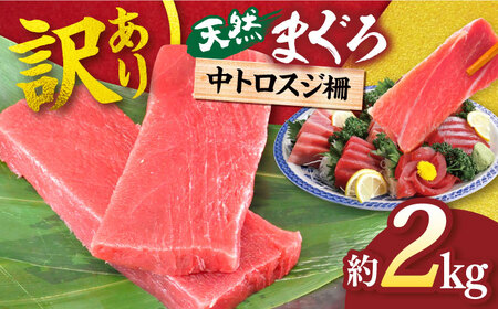 【訳あり】天然 本まぐろ 中トロ 計約1.8kg (8柵入り) 鮪 マグロ 魚 刺身 横須賀【横須賀商工会議所 おもてなしギフト事務局（本まぐろ直売所）】 [AKAK017]