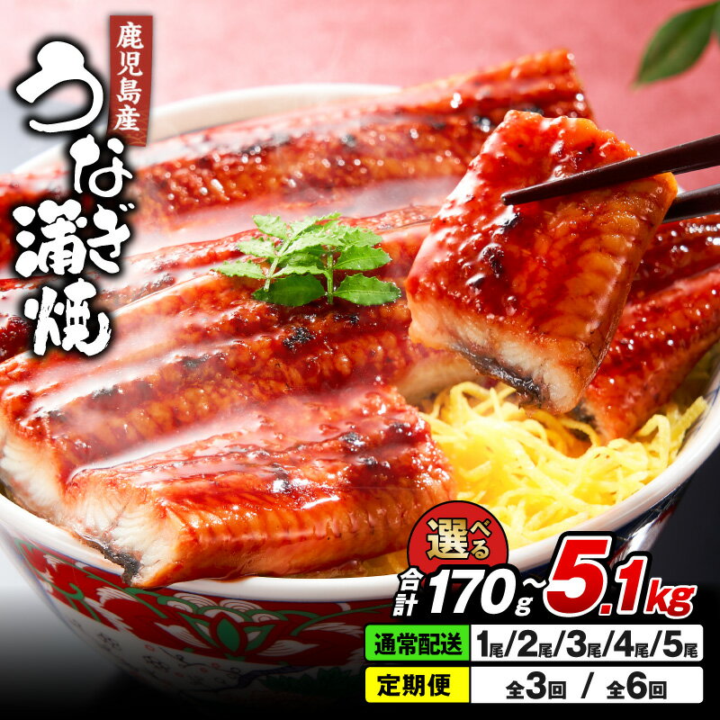 清らかな地下水育ち！鹿児島産うなぎ【大】2尾 340g［170g×2尾］真空パックでお届け！ 鰻丼やひつまぶしにも！ 【財宝】