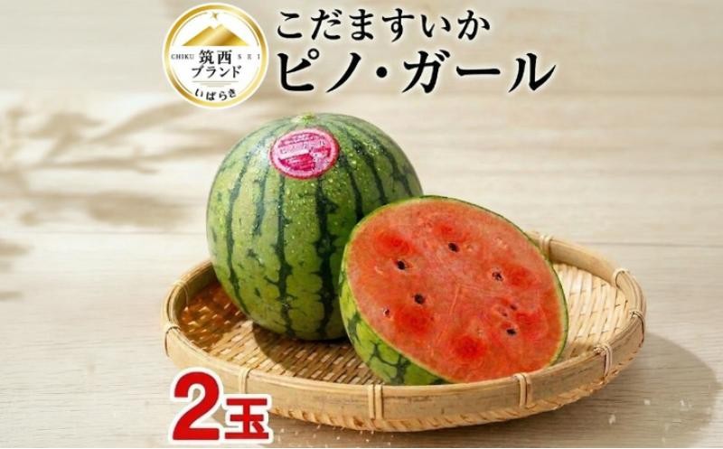 
                  [2027年発送] こだますいか 「 ピノ・ガール 」 2玉 2027年産 先行予約 筑西ブランド こだまスイカ 小玉スイカ すいか スイカ フルーツ 果物 西瓜 小玉西瓜 初夏 夏 期間限定 人気 水分 たっぷり 新鮮 旬 初夏 夏 小さめ 食べやすい 甘い 茨城 関東 筑西
                