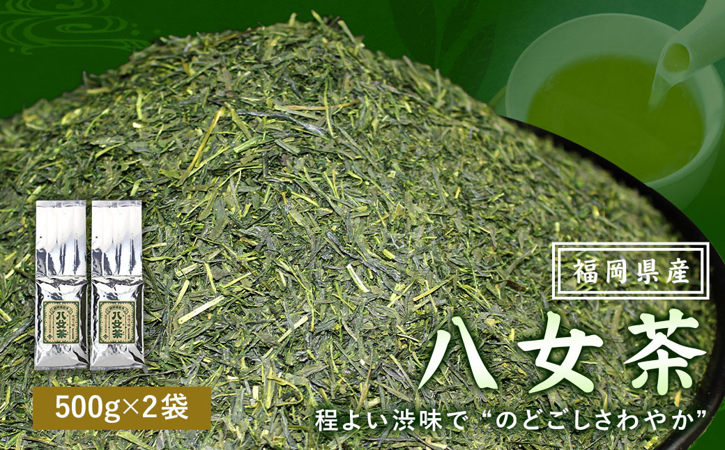 
                  福岡県産 八女茶100％（ 500g 袋詰 × 2袋 ）計1kg お茶 煎茶
                