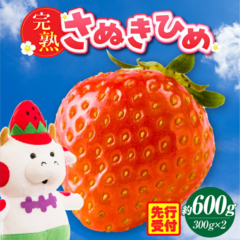 【ふるさと納税】完熟さぬき姫　約600g いちご 果物 フルーツ デザート 果実 さぬきひめ 旬の果物 旬 完熟 甘い いちごジャム 完熟いちご 完熟フルーツ おすすめ 人気 香川県オリジナル 化粧箱 ご褒美 ストロベリー 香川県 三木町 送料無料
