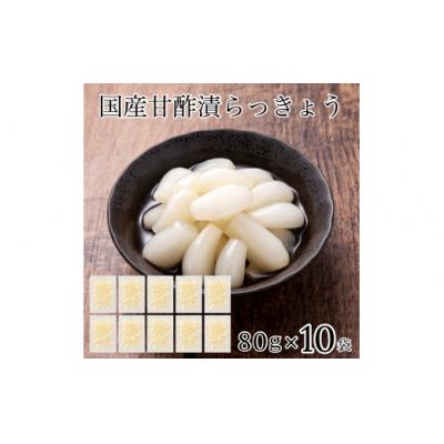 ふるさと納税 小松市 国産甘酢漬らっきょう 10袋セット らっきょう漬け 漬物