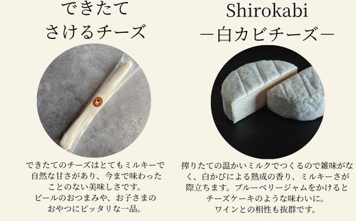 画像はイメージです。
