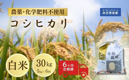 【定期便】令和7年産 コシヒカリ 白米 30kg ( 5kg ×6回) | 農薬・化学肥料不使用 みさき未来