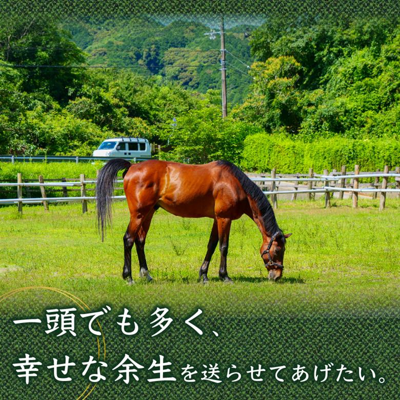 【返礼品なし】 競走馬 引退馬はどこへ？ 黒潮友馬会応援 【8千円コース】