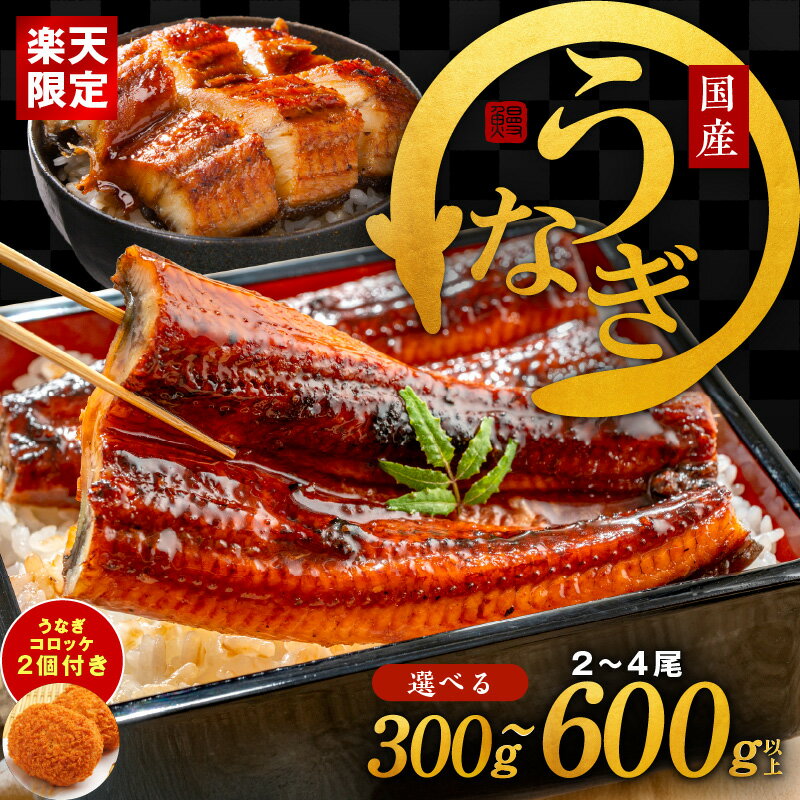 【ふるさと納税】【楽天限定】 先行予約 国産うなぎ 選べる 2尾 / 4尾 訳あり サイズ不揃い うなぎコロッケ 2個付き 国産 泉佐野産 えびす鰻 うなぎ 蒲焼き うな丼 うな重 ひつまぶし 大黒水産 unagi 泉佐野市 食品 送料無料