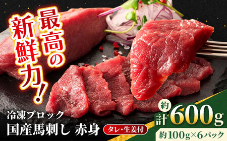 【フジチク】国産 馬刺し 赤身 約100g×6個（計約600g）タレ付き 馬 馬肉 肉 熊本県 【亀井通産 株式会社】[AYBQ047]
