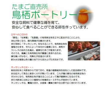 たまご 30個入り Ｍサイズ ※破損保証5個含む 卵 鶏卵 タマゴ ※配送不可:離島 