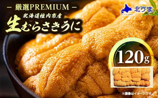 ＜厳選PREMIUM＞美味しいウニは昆布の名産地にあり!生むらさきうに120g【1221080】