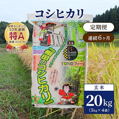 ふるさと納税 上越市 【毎月定期便】新潟県上越市清里区東戸野産コシヒカリ20kg(5kg×4)玄米全6回 | 