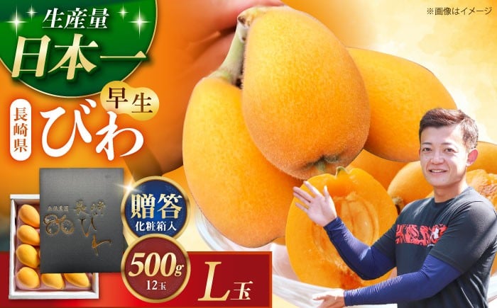 
            【先行予約】長崎県産ハウスびわ(早生) 500g L玉 贈答用  長崎県/森保農園 [42AACO001]
          