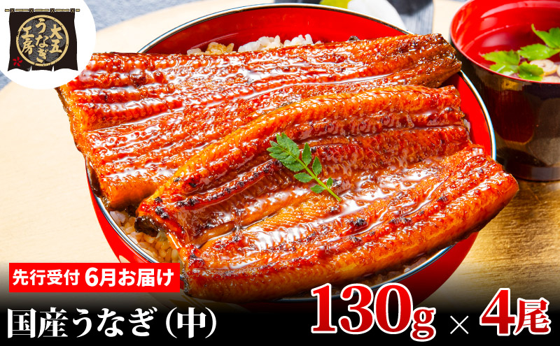 
            [№5695-1880]先行受付 【6月上旬配送】 うなぎ蒲焼 130g×4尾(520g) うなぎ 鰻 蒲焼 蒲焼き 大五通商 静岡 島田市
          
