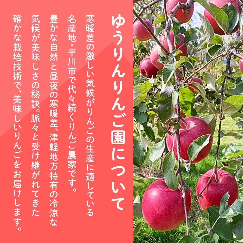 りんご 贈答用 王林・葉とらずサンふじ 約3kg りんご
