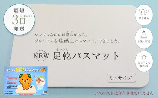 珪藻土バスマット NEW 足乾（そっかん）バスマット　ミニサイズ 【最短3営業日発送】 愛媛県西条市 ｜  珪藻土 バスマット 足拭きマット 浴室マット バス用品 足ふきマット 吸水マット 新生活