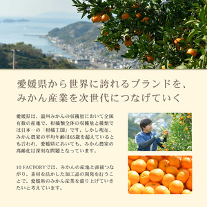 愛媛 みかん 果汁 100% ストレート ジュース と ゼリー の ギフト セット 720ml 1本 と ゼリー 6個 10 FACTORY |みかん 柑橘 手提げ袋付 オレンジ 国産 贈答 内祝い 