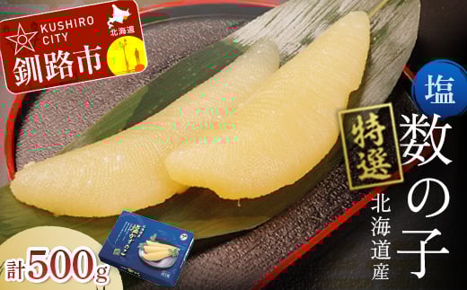 北海道産 塩数の子 500g ふるさと納税 魚卵 マルア阿部商店特選 北海道 釧路市 F4F-6906