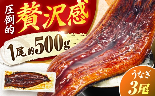 【1尾約500g】超特大うなぎ蒲焼×3尾　広川町 / 株式会社イールファクトリー [AFBS033]