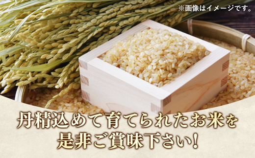 令和7年度米 埼玉県幸手産 ゆうだい21【玄米】10kg 家族みんなで大切に育てた自慢のお米 ゆうだい21【玄米】 - 玄米 お米 米 甘み 弾力 粘り 埼玉県 幸手市 おすすめ 送料無料