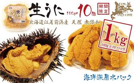 【令和7年発送予約】北海道 江差前浜産 生うに たっぷり 1kg（100g×10パック）【無添加・みょうばん不使用】江差産天然キタムラサキウニ　日本海熊石産海洋深層水　塩水ウニ　素材を生かした自然の味　国産うに　雲丹　100グラムパック個包装