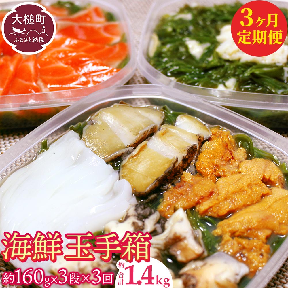 【ふるさと納税】3回定期便 ご贈答 三陸 玉手箱 計480g前後 ( 160g前後 ×3段 ) 計3回お届け おせち 人気 冷凍 小分け 食べきり 化粧箱 熨斗 のし お取り寄せ ギフト 海宝 味付 漬 ぶっかけ 海鮮丼 どんぶり ドン 大槌サーモン あわび ホタテ 岩手 いわて iwate