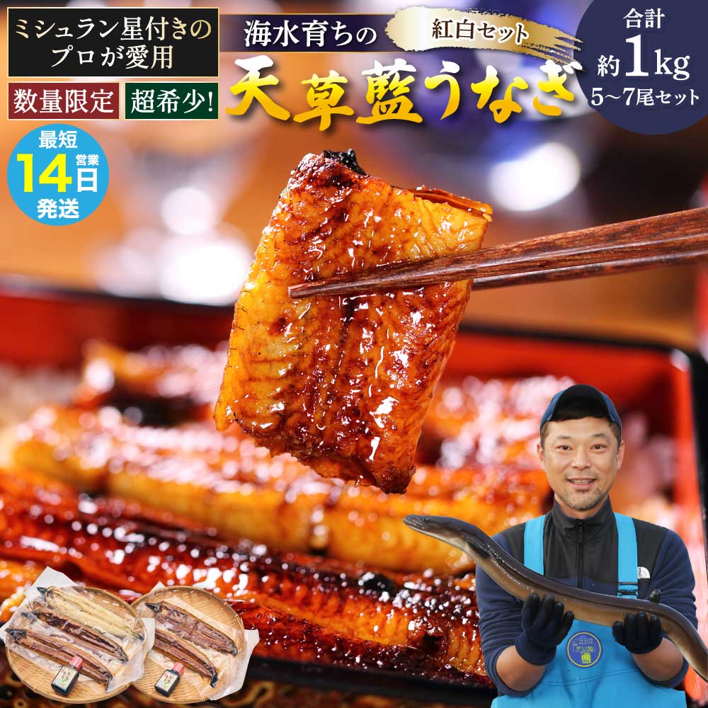 【ふるさと納税】 【ミシュラン星付きのプロが愛用】 うなぎ 国産 〈数量限定〉海水育ちの天草藍うなぎ 紅白 5〜7尾セット (合計約1kg) 〈熊本地震復興応援〉 鰻 ニホンウナギ 惣菜 熊本県産 九州 国産 冷凍 送料無料 株式会社天草海産