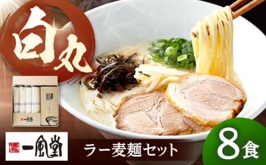 「一風堂」白丸 ラー麦麺セット 合計8食分セット ▼博多 福岡 ラーメン 豚骨 とんこつ 豚骨ラーメン セット 桂川町/博多漁師の里 [ADCA003]
