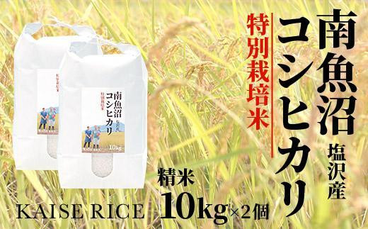 
南魚沼産塩沢コシヒカリ【従来品種】（特別栽培米８割減農薬）精米１０ｋｇ×２個
