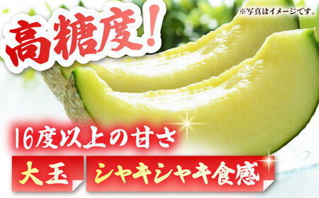 【先行予約】【数量限定】 肥後グリーンメロン 糖度16度以上 2玉 計約5kg【岡山農園】めろん メロン グリーンメロン 熊本メロン くまもとメロン 肥後グリーンメロン 国産メロン 高糖度メロン メロ