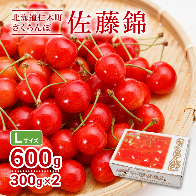 北海道 仁木町産 さくらんぼ 佐藤錦 300g×2P Lサイズ  サクランボ 果物 フルーツ チェリー