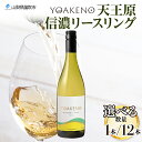 【ふるさと納税】YOAKENO天王原信濃リースリング 750ml 【選びえる本数 1本or12本】 ふるさと納税ワイン シャルドネ 白ワイン 酒 果実酒 贈答 ギフト プレゼント 宅飲み 家飲み BBQ バーベキュー パーティー 熨斗 のし 名入れ不可 送料無料 山梨県 笛吹市 177-4-082