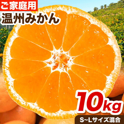 【ふるさと納税】ご家庭用 温州みかん 10kg (S〜Lサイズ混合) 和田果樹園【先行予約】《11月上旬-2027年2月上旬頃出荷》 和歌山県 紀の川市 みかん ミカン 果物 フルーツ 温州みかん ご家庭用 送料無料