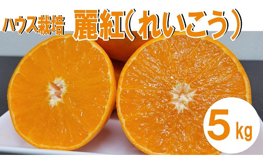 
ベリー・レア・ファームのみかん「麗紅(れいこう)」5kg
