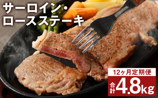 【12回定期便】熊本県産 黒毛和牛 サーロイン・ロース ステーキ 400g ブラックペッパー付 牛 肉【申込み翌月から出荷】