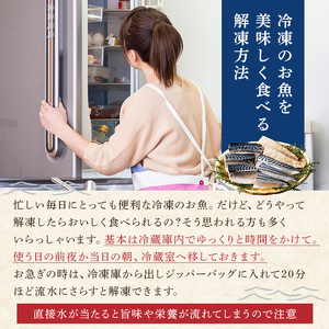 【定期便】【訳あり】骨取り塩さば　切身1kg（500g×2袋）【3か月連続お届け】 mi0012-0153